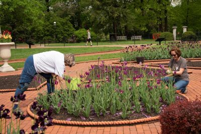 betsyAndDiane St. Louis Master Gardeners at work